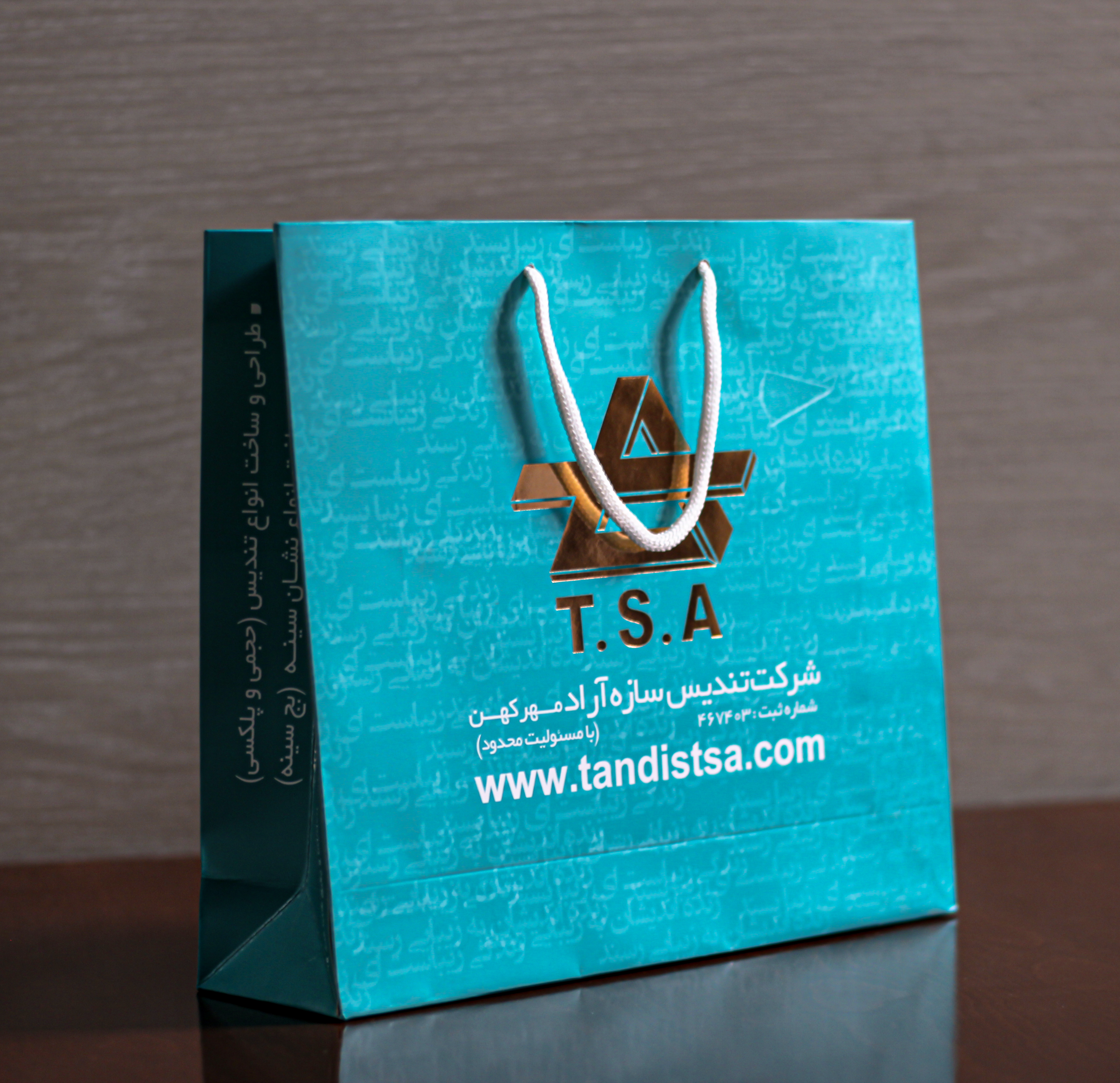 نمونه کار 1
