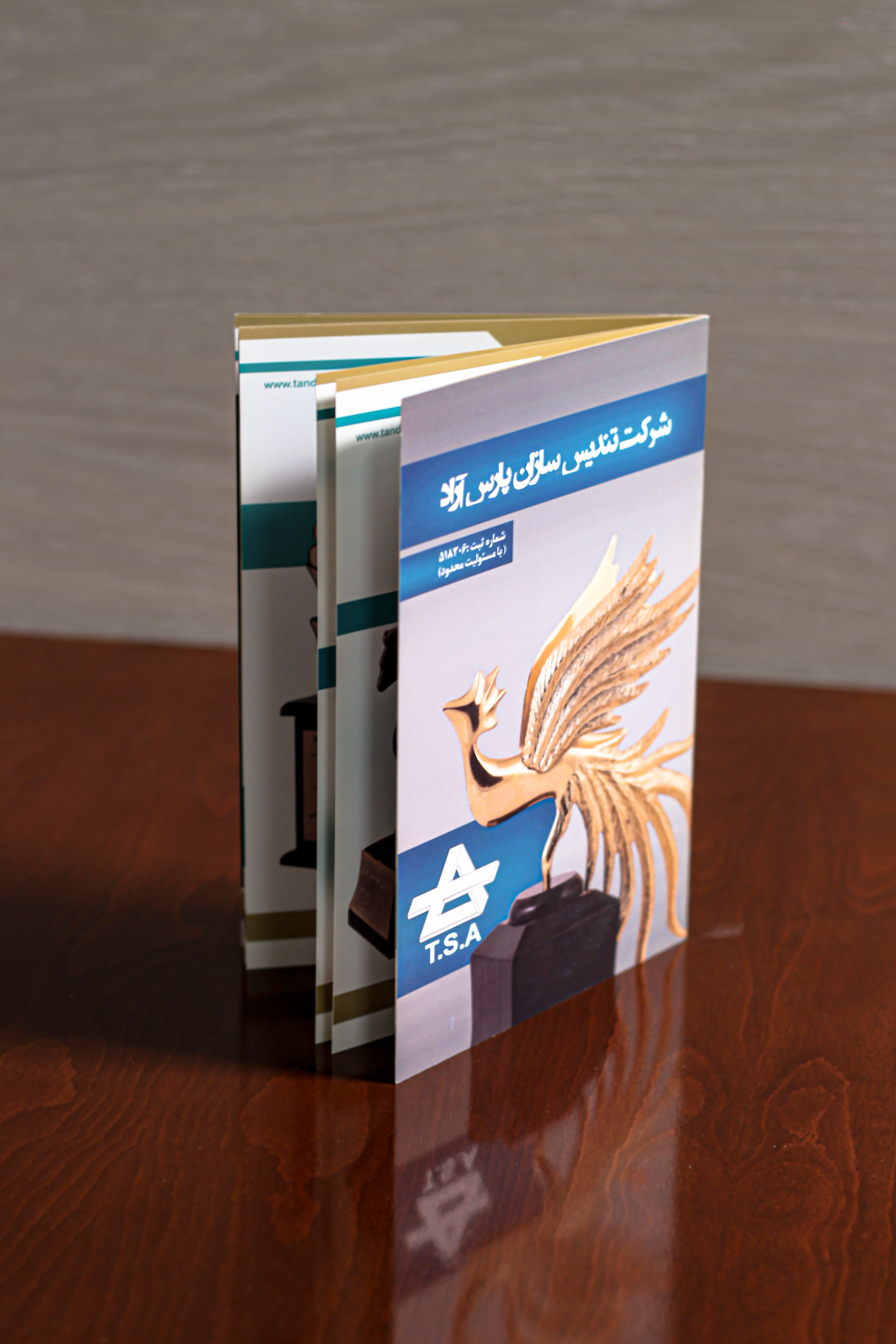 نمونه کار 4